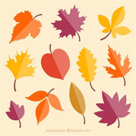 Free Vector Colorful Autumn Leaves Collection