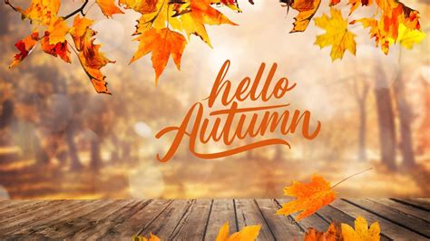 Hello Autumn Wallpapers 4k HD Hello Autumn Backgrounds On WallpaperBat