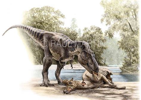 Albertosaurus Late Cretaceous 7168ma Theropod Tyrannosaurid Discovered By Osborn 1905