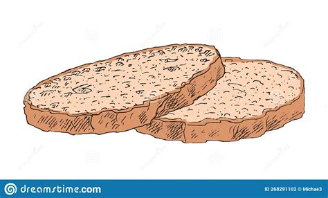 Drawn Sliced Bread on a White Background Stock Photo - Image of grain ...