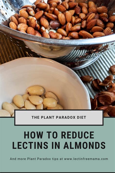 How To Reduce Lectins In Almonds Lectin Free Mama