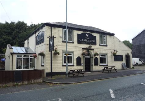 The Gamecock Public House JThomas Geograph Britain And Ireland