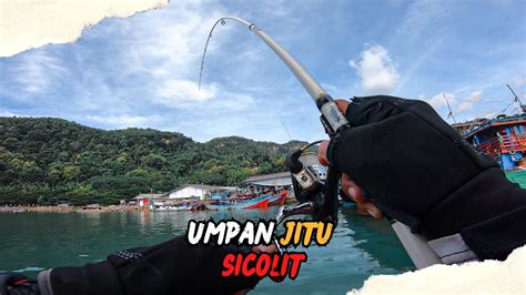 ANTI BONCOS Segala Jenis Ikan Pasti Makan Buktikan Sendiri Mancing