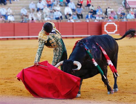 Calerito da la única vuelta al ruedo en la segunda novillada del abono