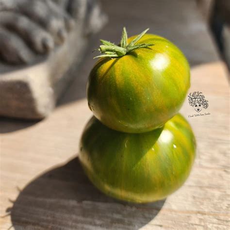 Emerald City Dwarf Tomato Seeds Head Tomatoes Seeds