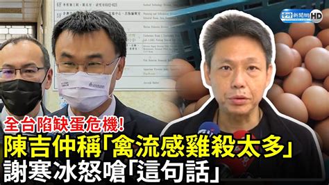 全台陷缺蛋危機！陳吉仲稱「禽流感雞殺太多」 謝寒冰怒嗆「這句話」 Chinatimes Youtube