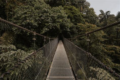 Visiting Mistico Arenal Hanging Bridges Costa Rica Ultimate Guide