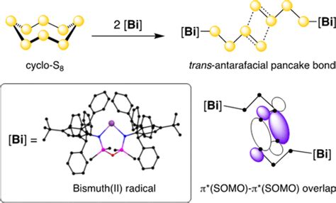 Bismuth Iii Complex Of The S Radical Anion Dimer Formation Via