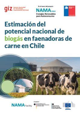 Estimaci N Del Potencial Nacional De Biog S En Faenadoras De Carne En