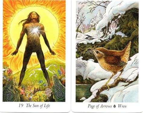 Wildwood Tarot Card Meanings Poemview Co