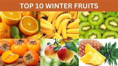 Top 10 Winter Fruits Winter Season Fruits Names Of The Winter Fruits Ilearn3736 Youtube