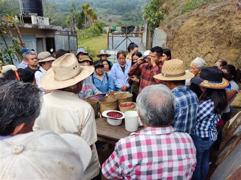 Participan más de 50 productores y ciudadanos en taller Café de