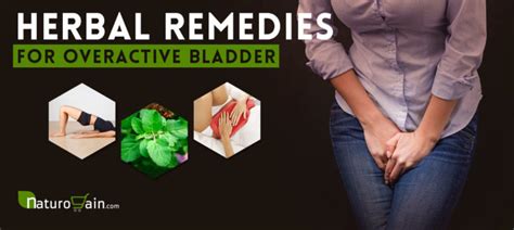 8 Herbal Remedies For Overactive Bladder Relieve Oab Symptoms [fast]