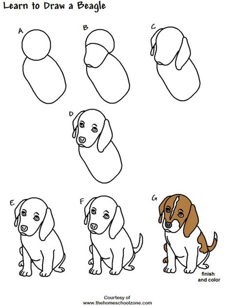 Como Desenhar Um Cachorro Formas F Ceis E Divertidas Drawings