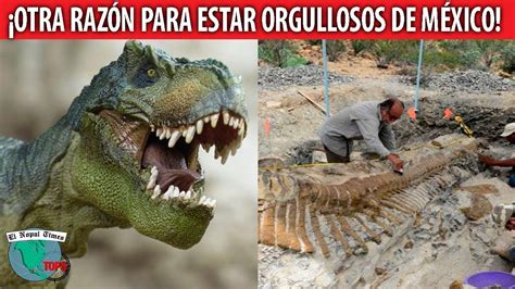 Los Dinosaurios De México La Otra Riqueza Histórica Que Pocos Conocen Youtube