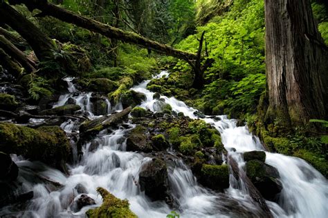 Waterfalls in the Columbia River Gorge | Stock image | Colourbox