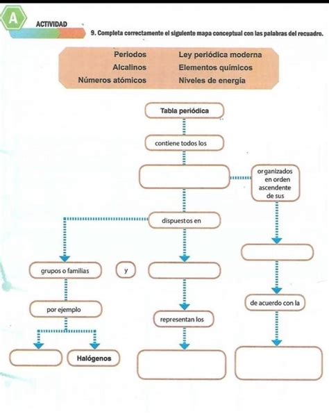 Completa Correctamente El Siguiente Mapa Conceptual Con Las Palabras