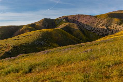 Explore Carrizo Plain National Monument – miladidit