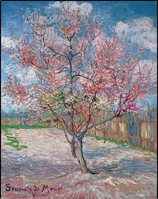 Souvenir De Mauve Pink Peach Tree In Blossom Art Print Buy At