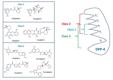 Clinical Use Of Dpp 4 Inhibitors Semantic Scholar