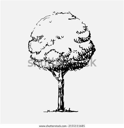 Trees Pen Ink: Over 20,697 Royalty-Free Licensable Stock Illustrations ...