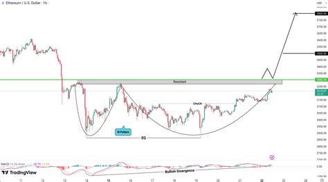 Crypto Market Update And Analysis For BTC ETH EGLD FIL And ADA