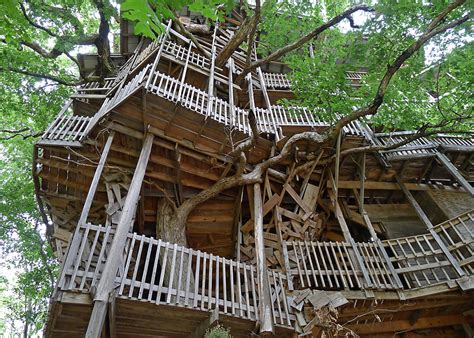 Tree House Church Photo Bill Mcclung Photos At