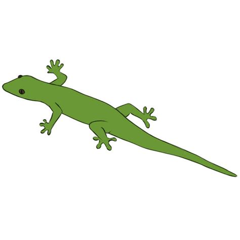 Lizard Drawing For Kids