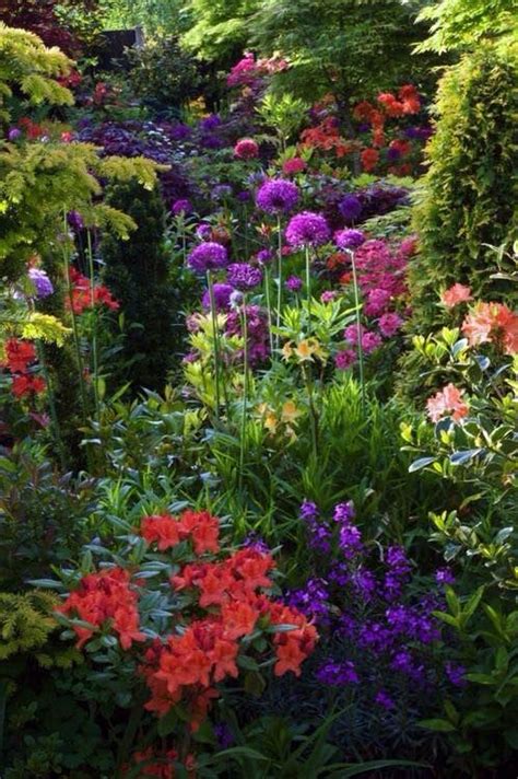 Pin By Rachel Summers On Flowers Dream Garden Beautiful Gardens