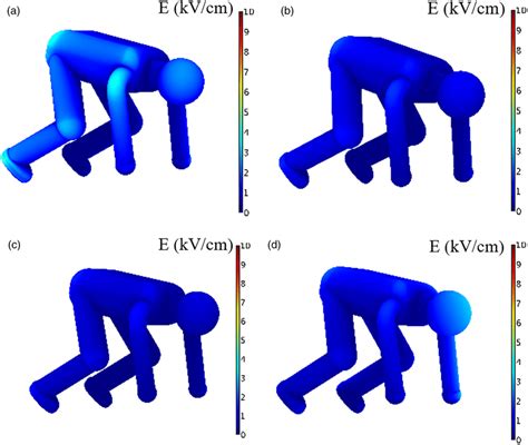 Schematic Diagram Of Electric Field Intensity Distribution On The Body