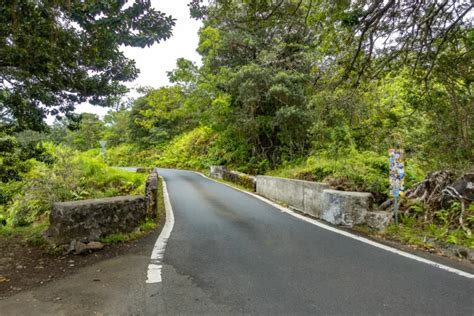 The 12 Best Guided and Private Road to Hana Tours in Maui