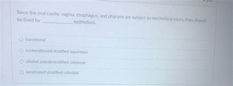 Solved Since The Oral Cavity Vagina Esophagus And Pharynx Chegg