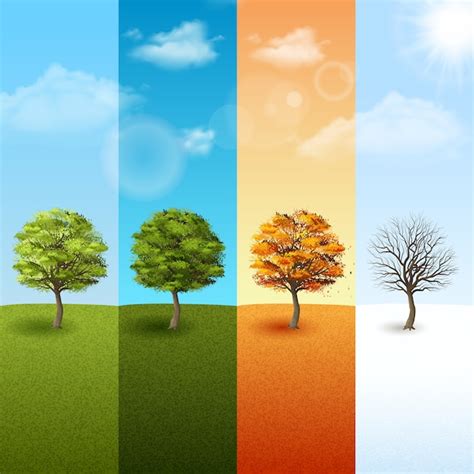 Premium Vector Four Season Background Vector Illustration