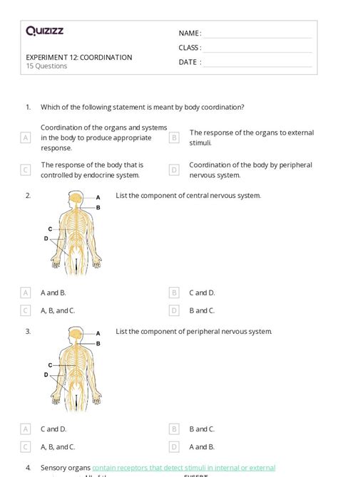 The Nervous And Endocrine Systems Worksheets For Th Class On