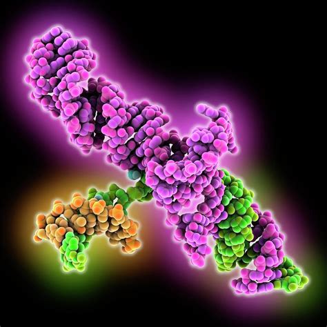 Crispr Cas9 Rna Dna Complex Photograph By Laguna Design Science Photo