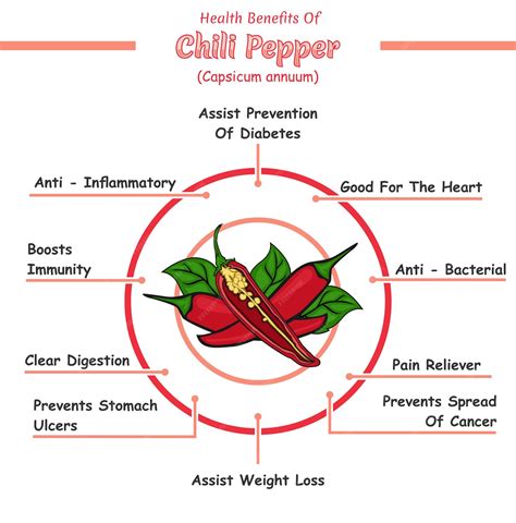 Premium Vector Health Benefits Of Chili Pepper