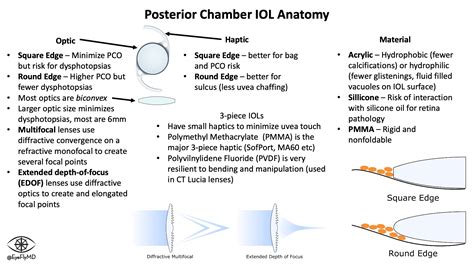 Basics Iol Reference