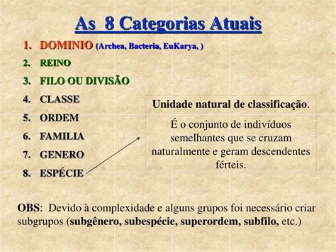 Ppt Classifica O Dos Seres Vivos S Rgio Moraes Powerpoint