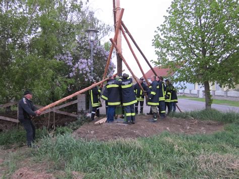 Maibaum Aufstellen Freiwillige Feuerwehr Rust