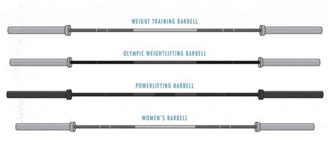 The Barbell Buyers Guide For Bodybuilding And Hypertrophy Training