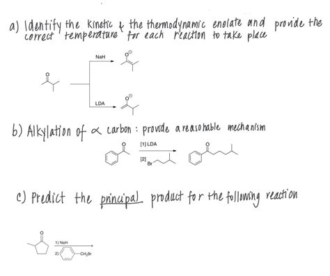 Solved A Identify The Kinetic ļ The Thermodynamic Enolate