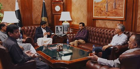 MQM P Leaders Meet Sindh Governor Shares Reservations Against PPP