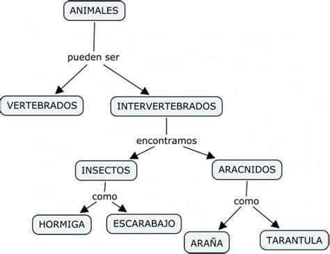 Ejemplo De Cuadro Sinóptico