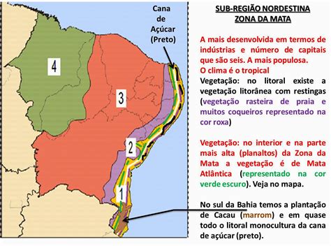 Geografando Slide Ano Nordeste Cap Tulo Unidade