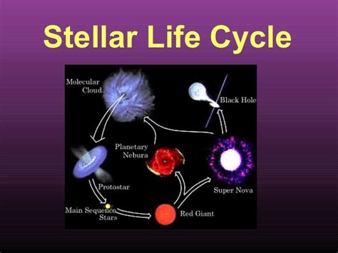 Stellar Life Cycle Section 3