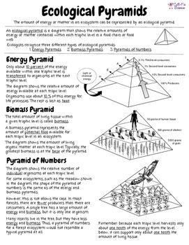 Ecological Pyramids by Cell-fie Science | TPT