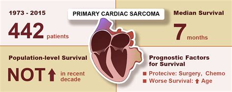 Survival Outcomes In Patients With Primary Cardiac Sarcoma In The