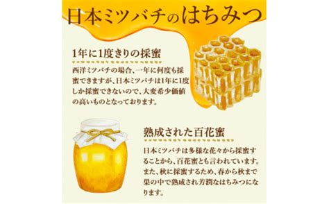 七ツ森の恵 日本ミツバチのはちみつ 300g ハチミツ 蜂蜜 日本蜜蜂 国産 日本ミツバチ 百花蜜【はちみつ屋】ta199 宮城県大和町