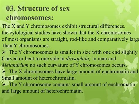 Sex Determination Chromosomal Theory Of Sex Determination Ppt