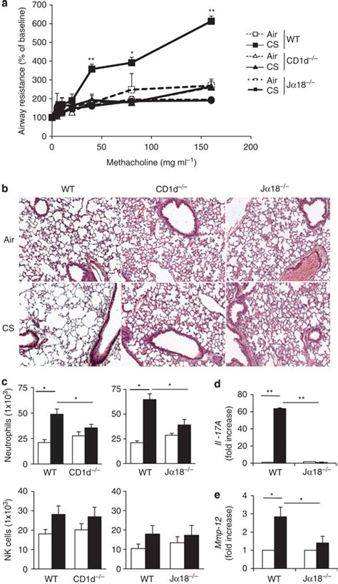 Invariant Natural Killer T Inkt Cells Are Essential To Promote